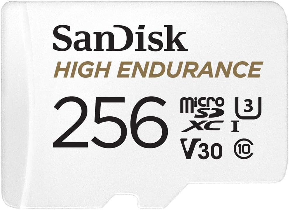 Sandisk.jpg